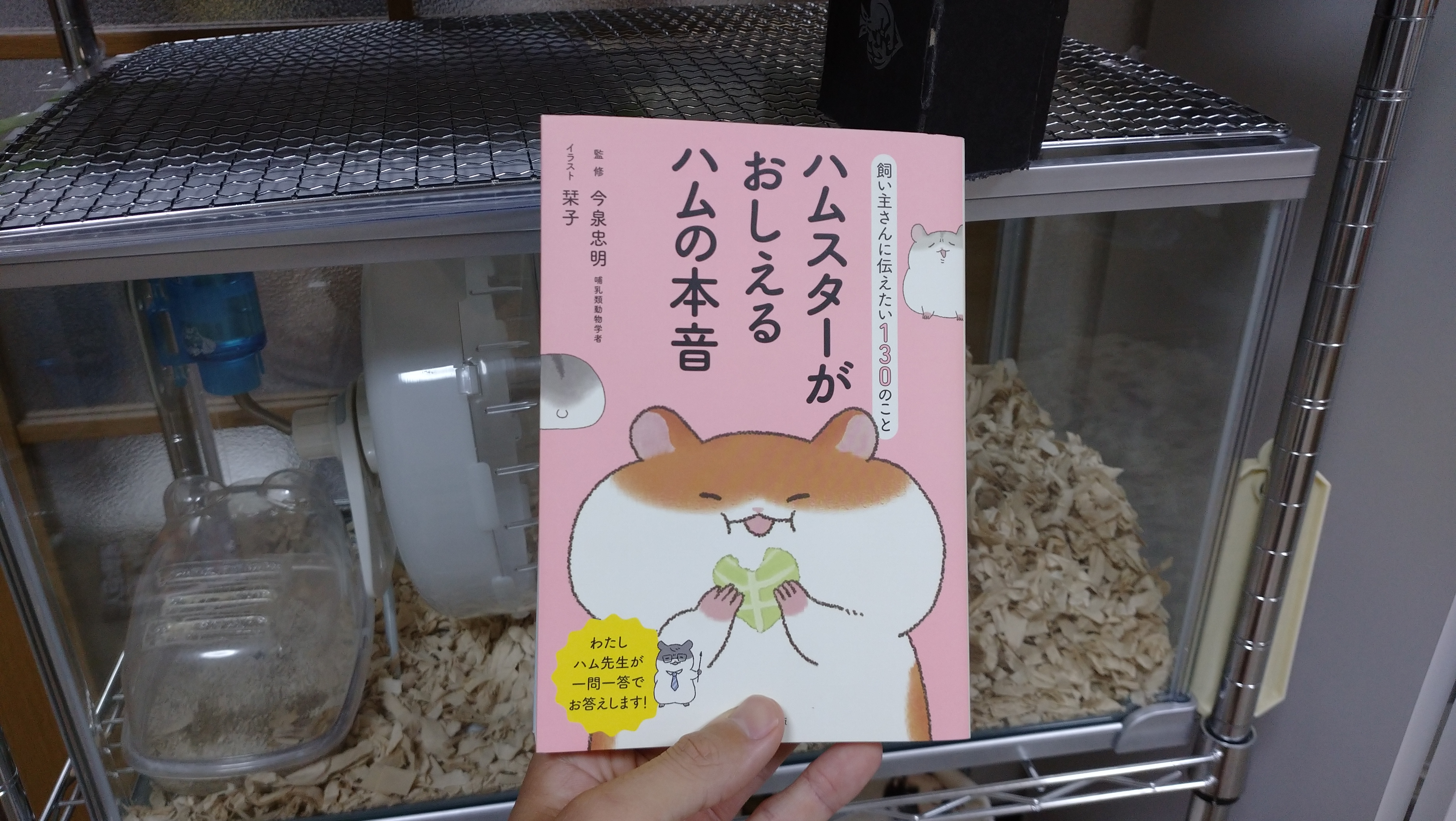 お薦めハム本「ハムスターがおしえるハムの本音」感想